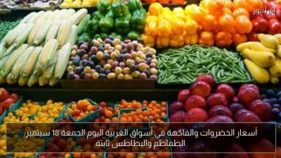أسعار الخضروات والفاكهة في أسواق الغربية اليوم الجمعة 18 سبتمبر: الطماطم والبطاطس ثابتة