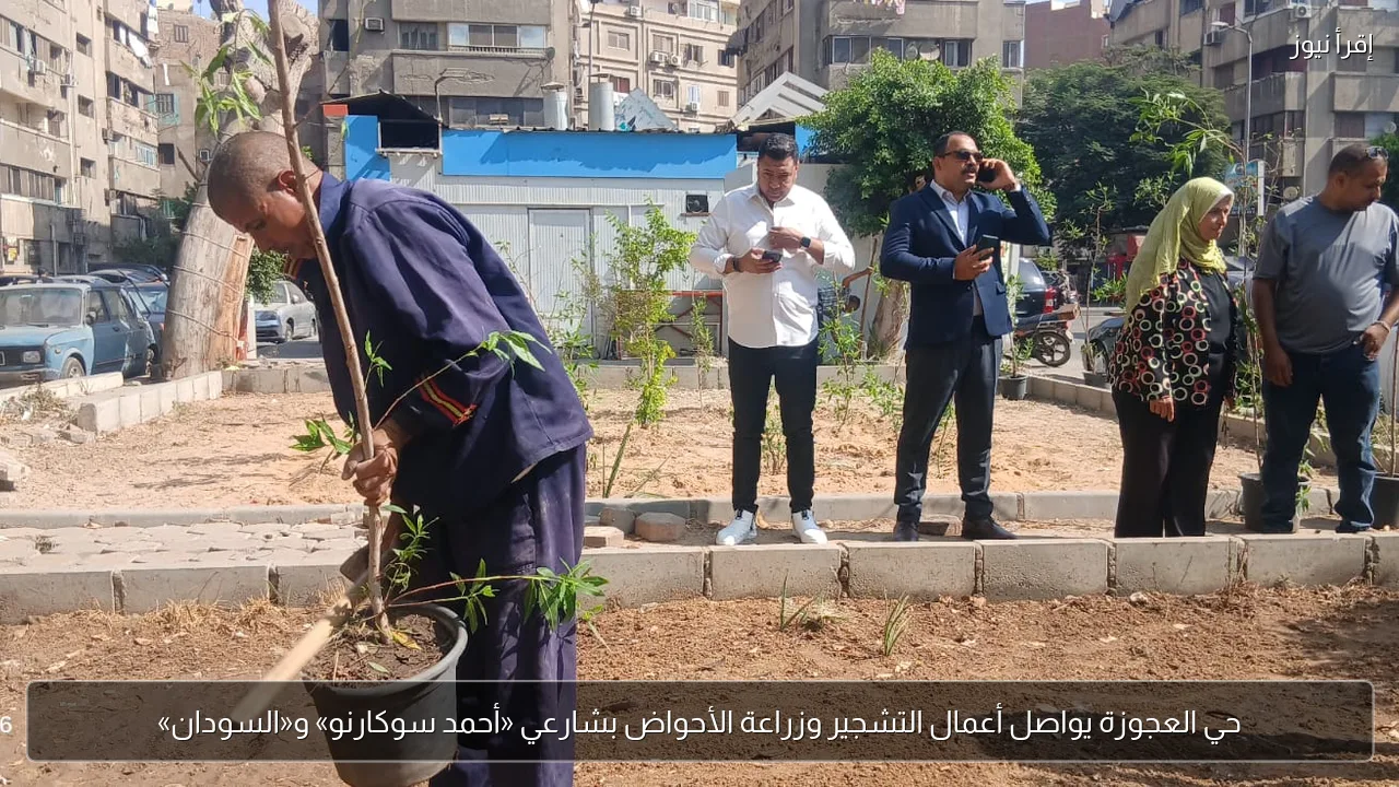 حي العجوزة يواصل أعمال التشجير وزراعة الأحواض بشارعي «أحمد سوكارنو» و«السودان»