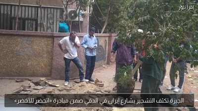 الجيزة تكثف التشجير بشارع إيران في الدقي ضمن مبادرة «اتحضر للأخضر»