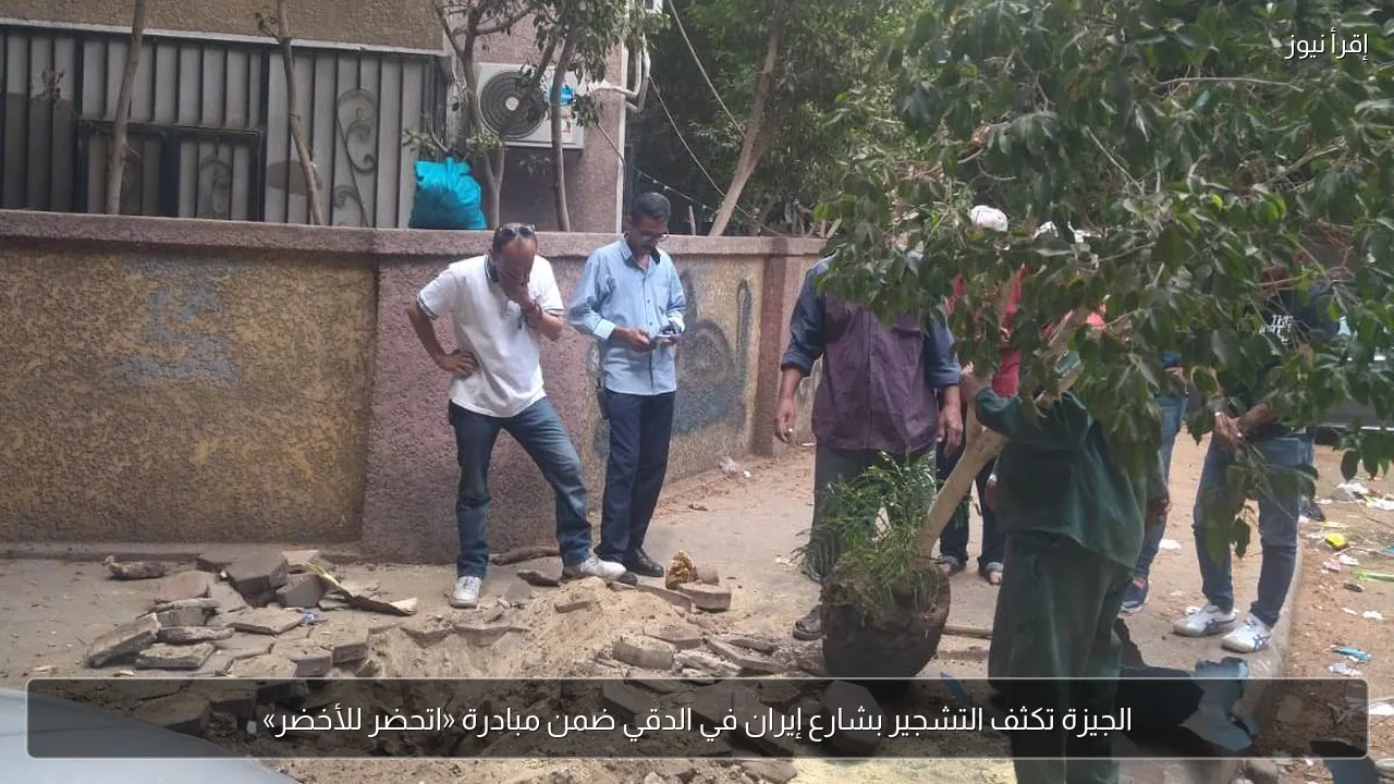 الجيزة تكثف التشجير بشارع إيران في الدقي ضمن مبادرة «اتحضر للأخضر»