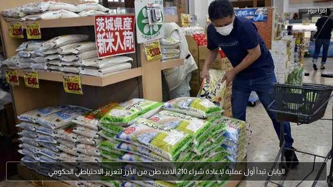 اليابان تبدأ أول عملية لإعادة شراء 210 آلاف طن من الأرز لتعزيز الاحتياطي الحكومي