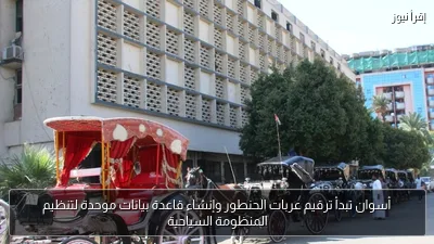 أسوان تبدأ ترقيم عربات الحنطور وإنشاء قاعدة بيانات موحدة لتنظيم المنظومة السياحية