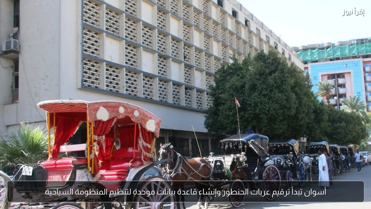 أسوان تبدأ ترقيم عربات الحنطور وإنشاء قاعدة بيانات موحدة لتنظيم المنظومة السياحية