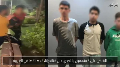 القبض على 3 متهمين بالتعدي على فتاة وإتلاف هاتفها في الغربية