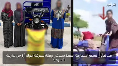 بعد تداول فيديو المطاردة.. ضبط سيدتين وفتاة لسرقة أجولة أرز من مزرعة بالشرقية