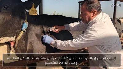 الطب البيطري بالغربية: تحصين 207 آلاف رأس ماشية ضد الحمى القلاعية وحمى الوادي المتصدع