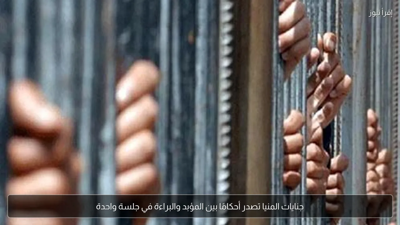 جنايات المنيا تصدر أحكامًا بين المؤبد والبراءة في جلسة واحدة