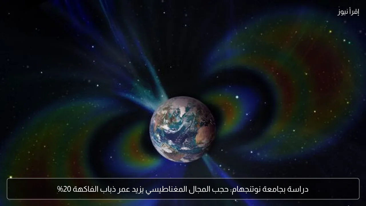 دراسة بجامعة نوتنجهام: حجب المجال المغناطيسي يزيد عمر ذباب الفاكهة 20%