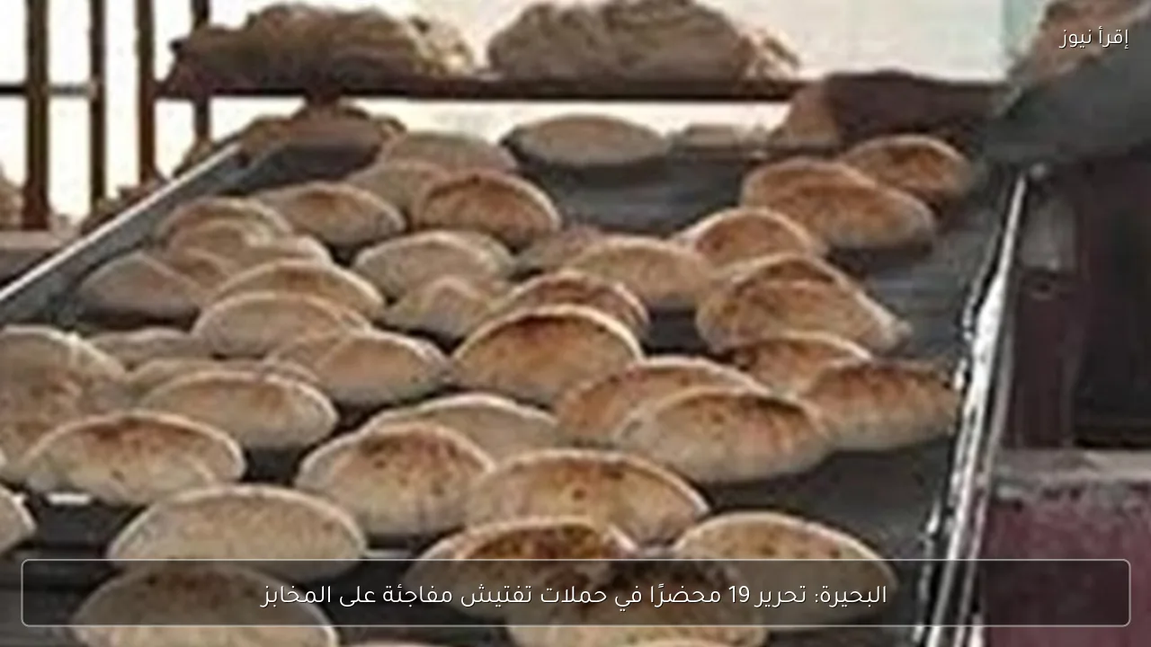 البحيرة: تحرير 19 محضرًا في حملات تفتيش مفاجئة على المخابز