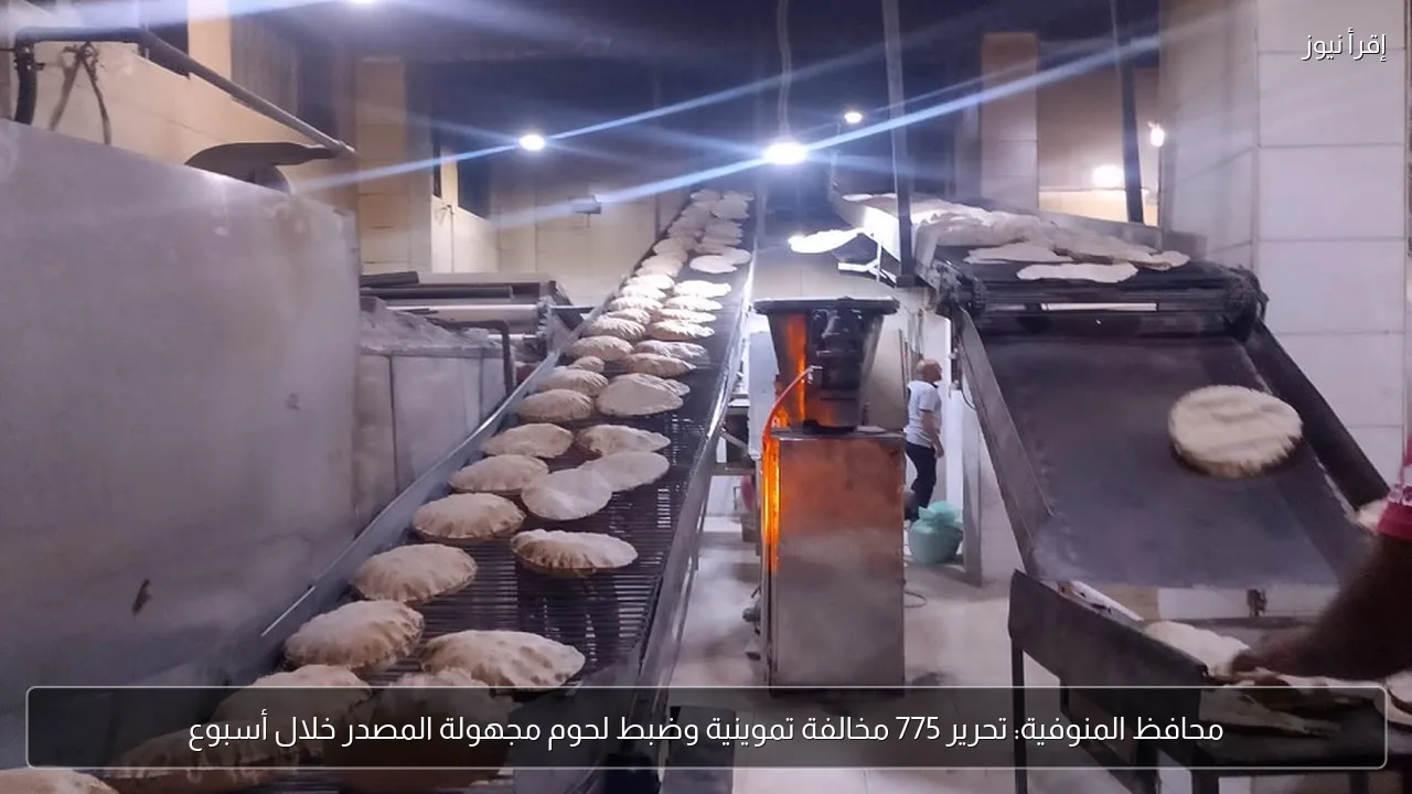 محافظ المنوفية: تحرير 775 مخالفة تموينية وضبط لحوم مجهولة المصدر خلال أسبوع