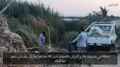 حملة في محمية وادي الريان بالفيوم تُحرر 80 محضرًا وتزيل عشش صيد مخالفة