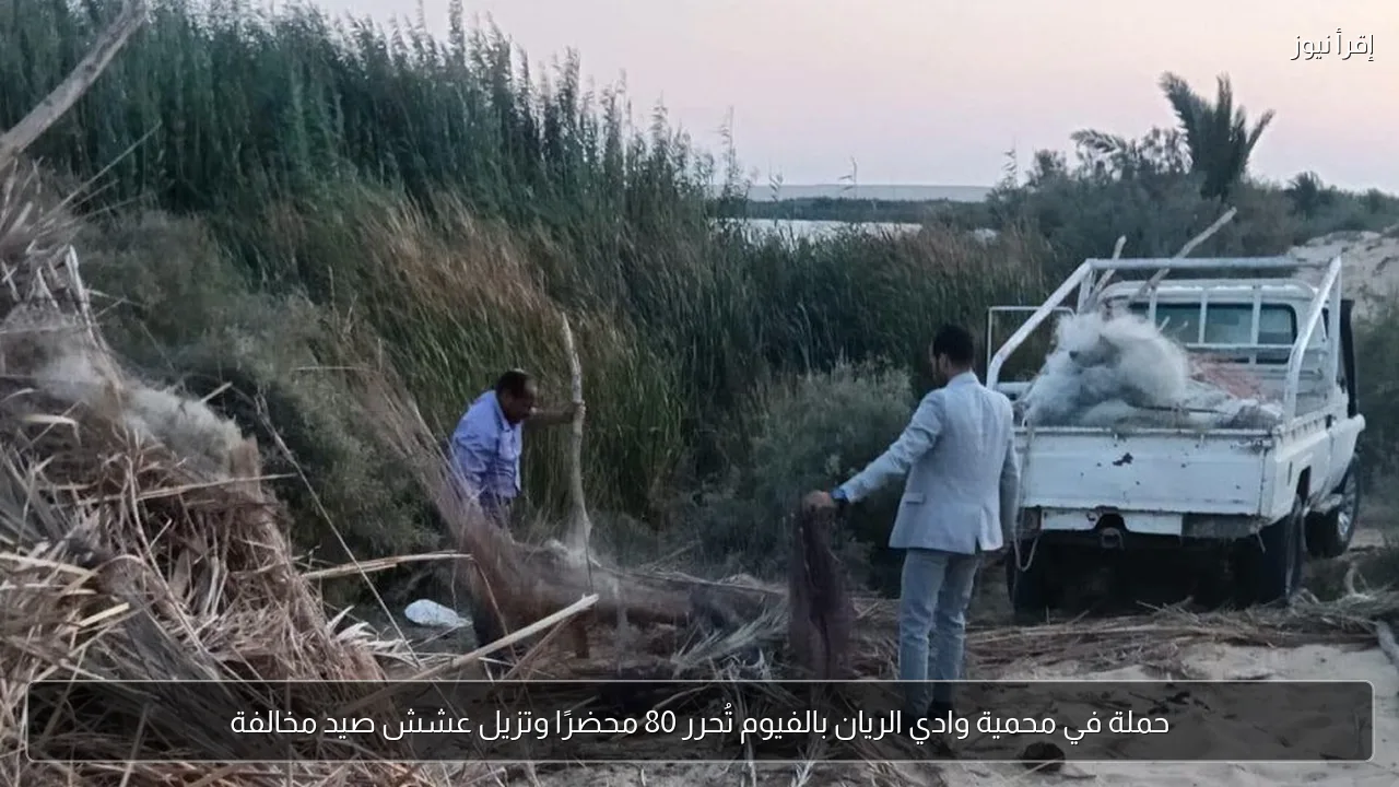 حملة في محمية وادي الريان بالفيوم تُحرر 80 محضرًا وتزيل عشش صيد مخالفة
