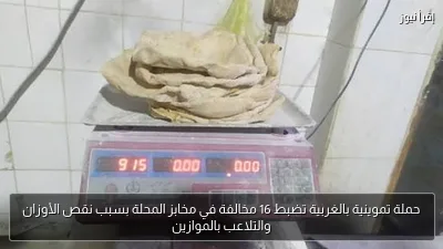 حملة تموينية بالغربية تضبط 16 مخالفة في مخابز المحلة بسبب نقص الأوزان والتلاعب بالموازين