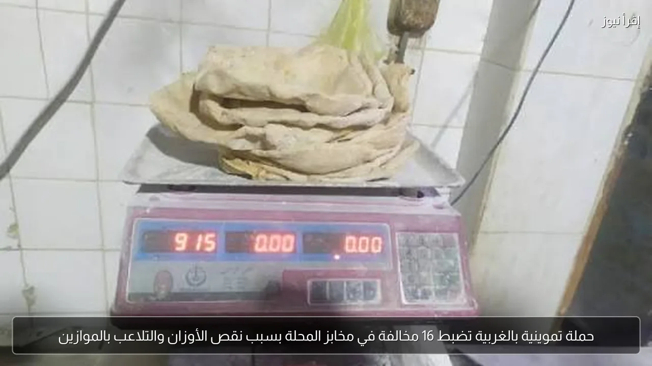 حملة تموينية بالغربية تضبط 16 مخالفة في مخابز المحلة بسبب نقص الأوزان والتلاعب بالموازين