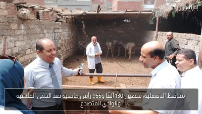 محافظ الدقهلية: تحصين 130 ألفًا و955 رأس ماشية ضد الحمى القلاعية والوادي المتصدع