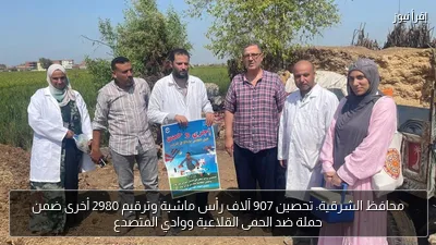 محافظ الشرقية: تحصين 907 آلاف رأس ماشية وترقيم 2980 أخرى ضمن حملة ضد الحمى القلاعية ووادي المتصدع