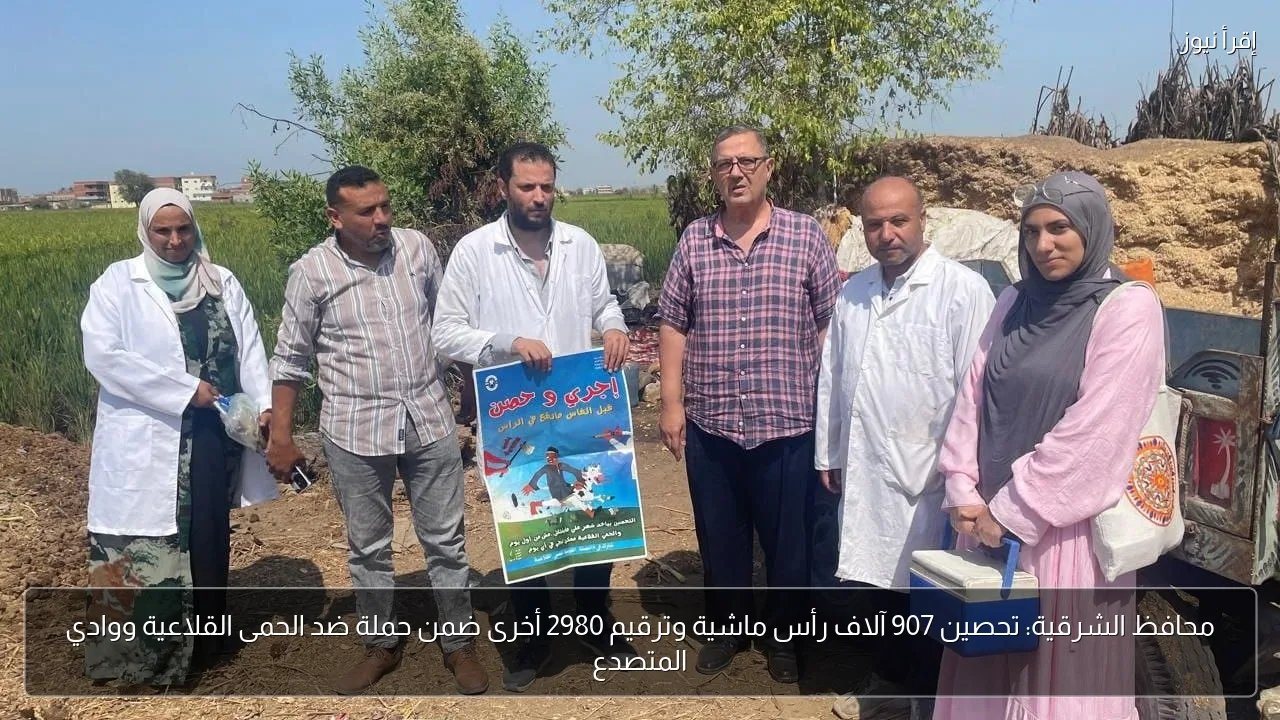 محافظ الشرقية: تحصين 907 آلاف رأس ماشية وترقيم 2980 أخرى ضمن حملة ضد الحمى القلاعية ووادي المتصدع