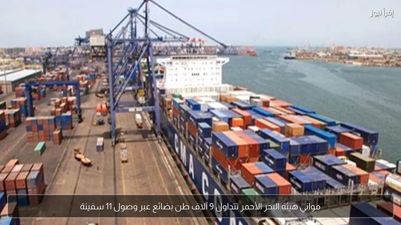 مواني هيئة البحر الأحمر تتداول 9 آلاف طن بضائع عبر وصول 11 سفينة
