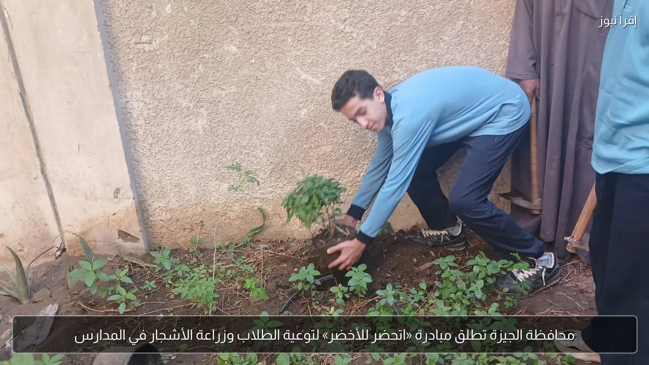 محافظة الجيزة تطلق مبادرة «اتحضر للأخضر» لتوعية الطلاب وزراعة الأشجار في المدارس
