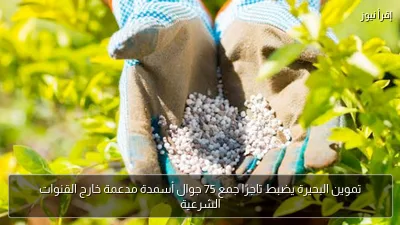تموين البحيرة يضبط تاجرًا جمع 75 جوال أسمدة مدعمة خارج القنوات الشرعية