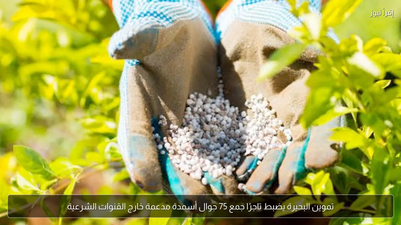 تموين البحيرة يضبط تاجرًا جمع 75 جوال أسمدة مدعمة خارج القنوات الشرعية