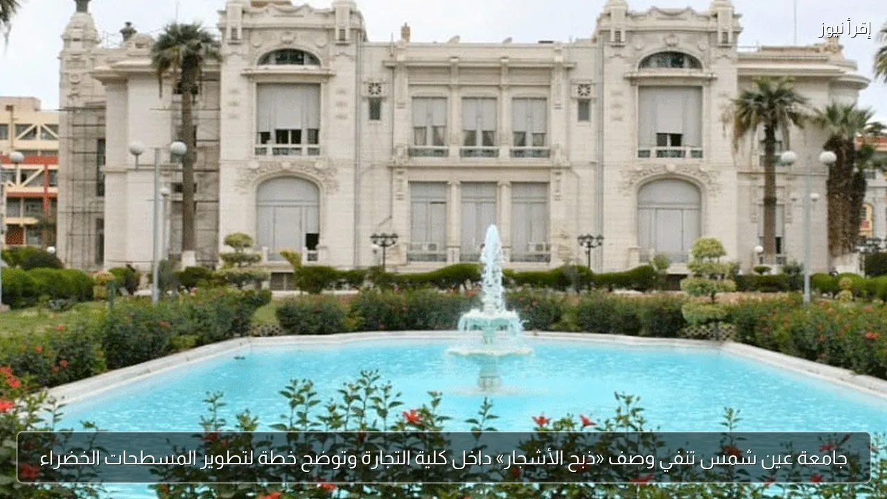 جامعة عين شمس تنفي وصف «ذبح الأشجار» داخل كلية التجارة وتوضح خطة لتطوير المسطحات الخضراء