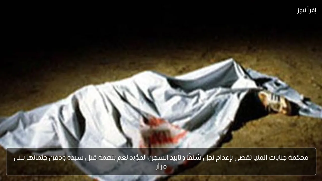 محكمة جنايات المنيا تقضي بإعدام نجل شنقًا وتأييد السجن المؤبد لعم بتهمة قتل سيدة ودفن جثمانها ببني مزار
