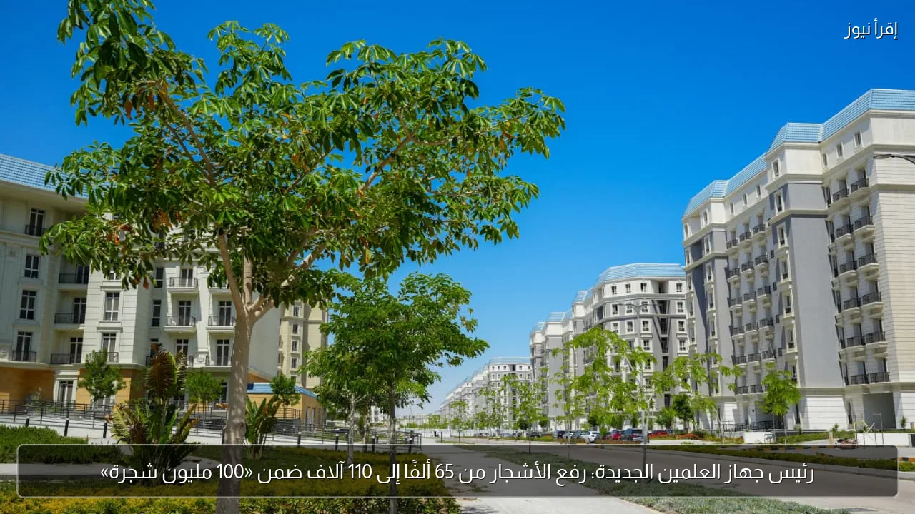 رئيس جهاز العلمين الجديدة: رفع الأشجار من 65 ألفًا إلى 110 آلاف ضمن «100 مليون شجرة»