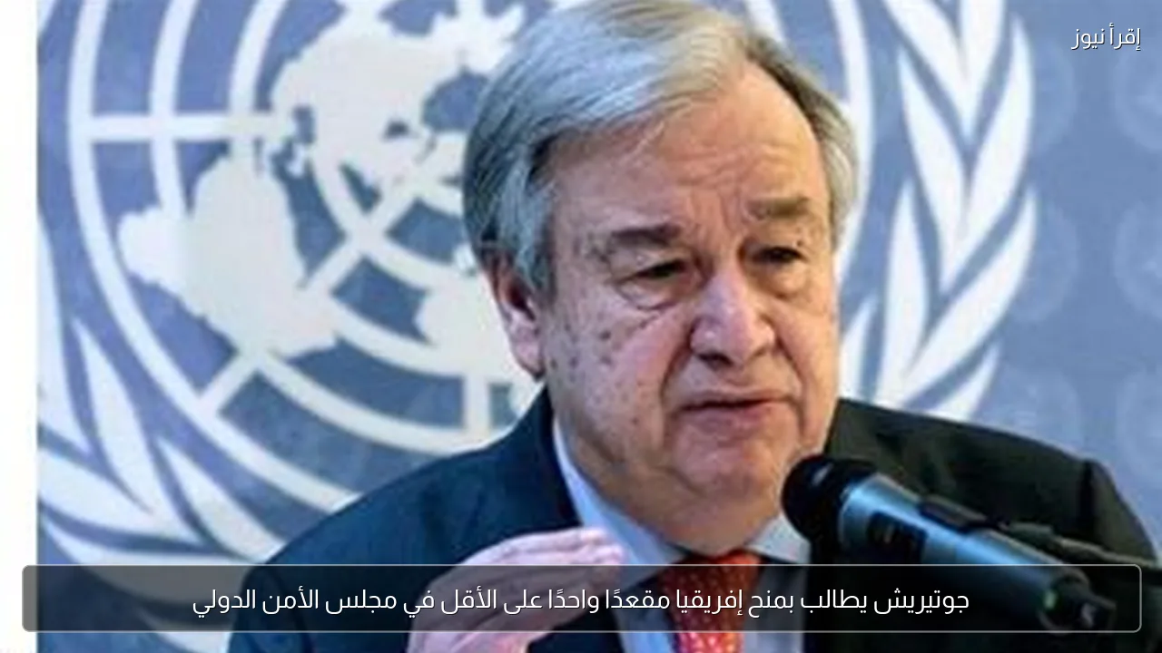 جوتيريش يطالب بمنح إفريقيا مقعدًا واحدًا على الأقل في مجلس الأمن الدولي
