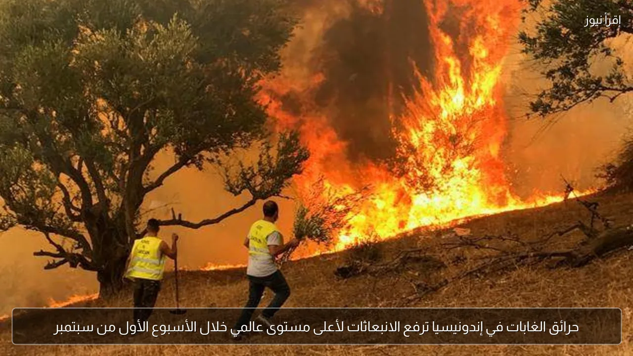 حرائق الغابات في إندونيسيا ترفع الانبعاثات لأعلى مستوى عالمي خلال الأسبوع الأول من سبتمبر