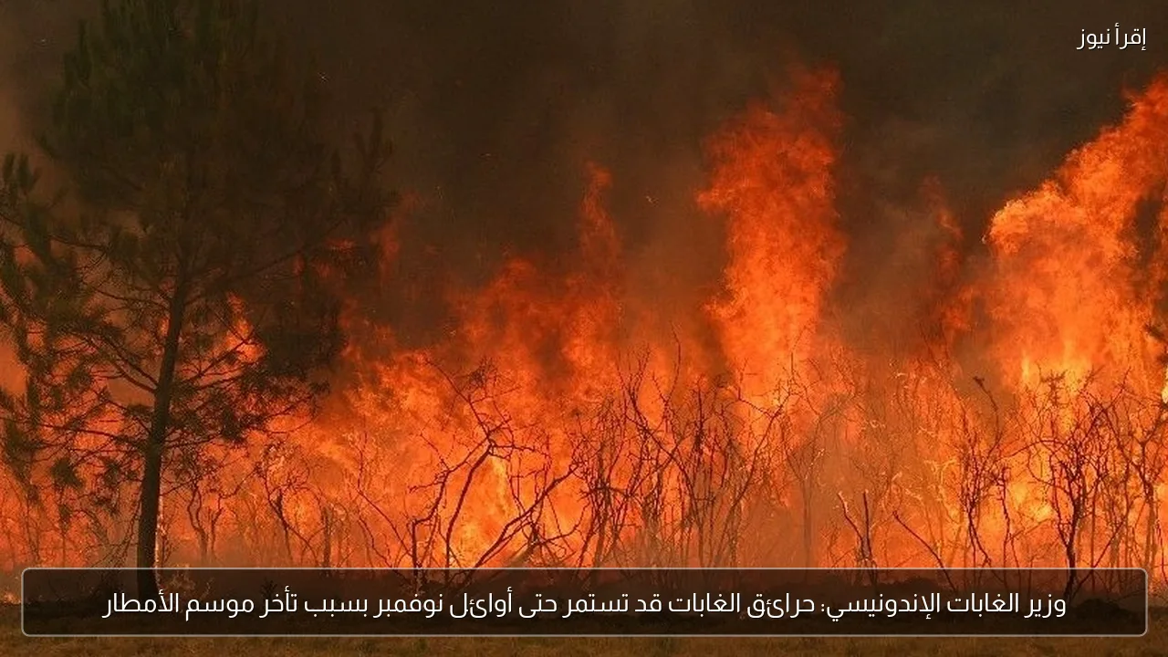 وزير الغابات الإندونيسي: حرائق الغابات قد تستمر حتى أوائل نوفمبر بسبب تأخر موسم الأمطار