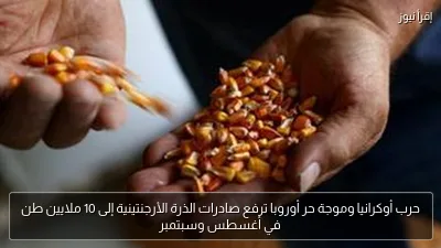حرب أوكرانيا وموجة حر أوروبا ترفع صادرات الذرة الأرجنتينية إلى 10 ملايين طن في أغسطس وسبتمبر