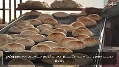 حملات تموين البحيرة تحرر 29 محضرًا ضد مخابز غير ملتزمة في دمنهور وكوم حمادة