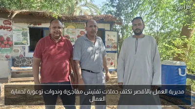 مديرية العمل بالأقصر تكثف حملات تفتيش مفاجئة وندوات توعوية لحماية العمال