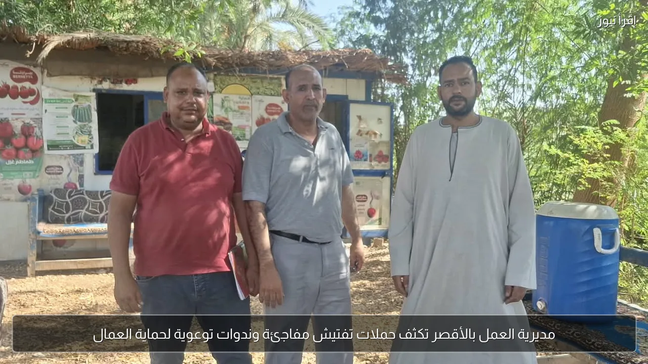 مديرية العمل بالأقصر تكثف حملات تفتيش مفاجئة وندوات توعوية لحماية العمال