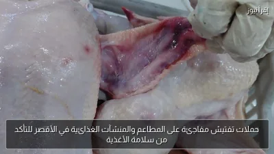 حملات تفتيش مفاجئة على المطاعم والمنشآت الغذائية في الأقصر للتأكد من سلامة الأغذية