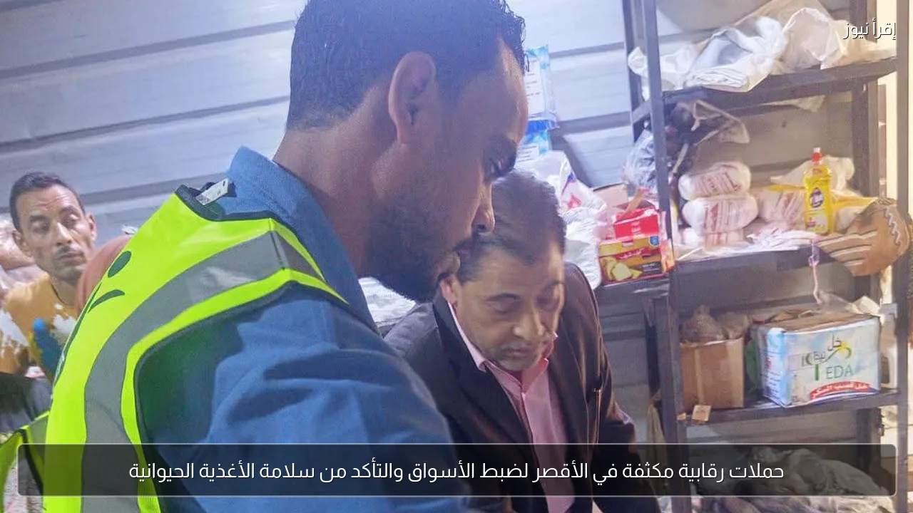 حملات رقابية مكثفة في الأقصر لضبط الأسواق والتأكد من سلامة الأغذية الحيوانية