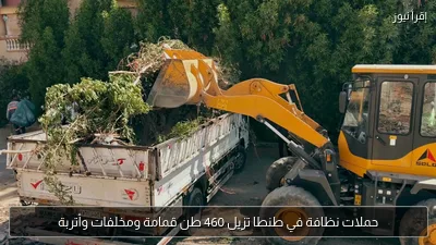 حملات نظافة في طنطا تزيل 460 طن قمامة ومخلفات وأتربة