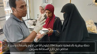حملة بيطرية بالدقهلية تضبط 894 كيلوجرامًا من لحوم وأسماك وتحرر 4 محاضر ذبح خارج السلخانة بشربين