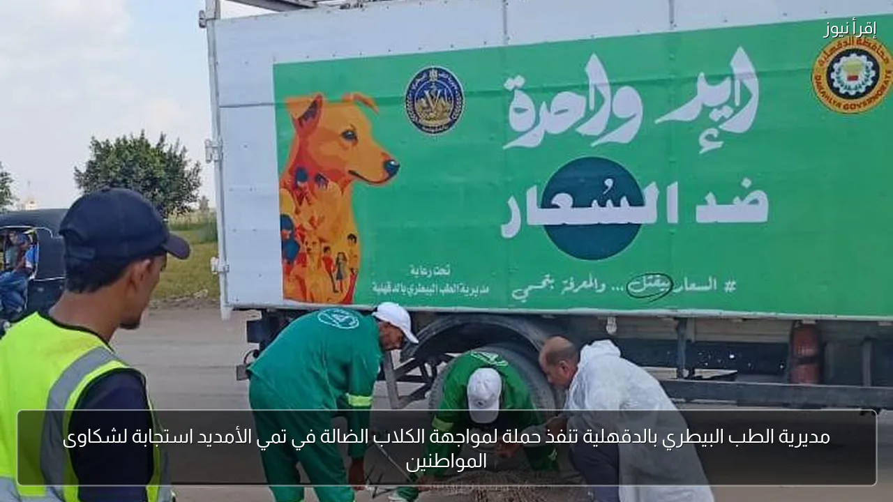 مديرية الطب البيطري بالدقهلية تنفذ حملة لمواجهة الكلاب الضالة في تمي الأمديد استجابة لشكاوى المواطنين