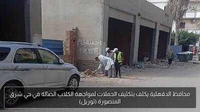 محافظ الدقهلية يكلف بتكثيف الحملات لمواجهة الكلاب الضالة في حي شرق المنصورة (توريل)