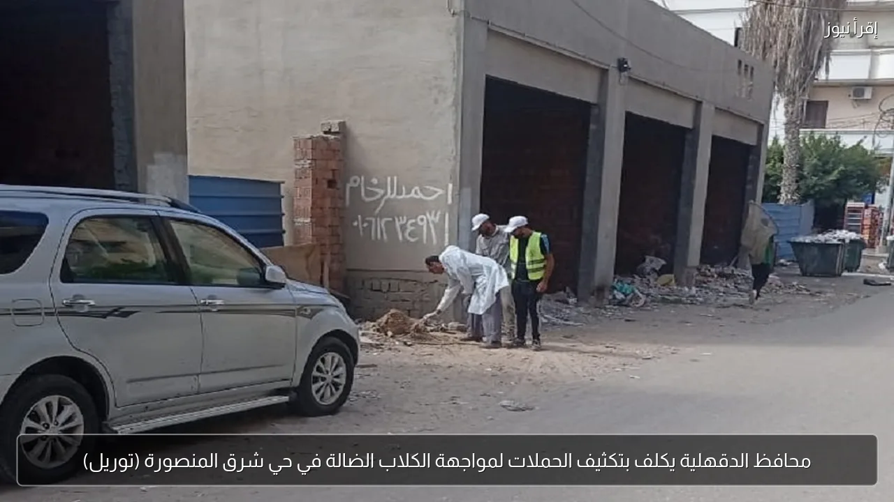محافظ الدقهلية يكلف بتكثيف الحملات لمواجهة الكلاب الضالة في حي شرق المنصورة (توريل)