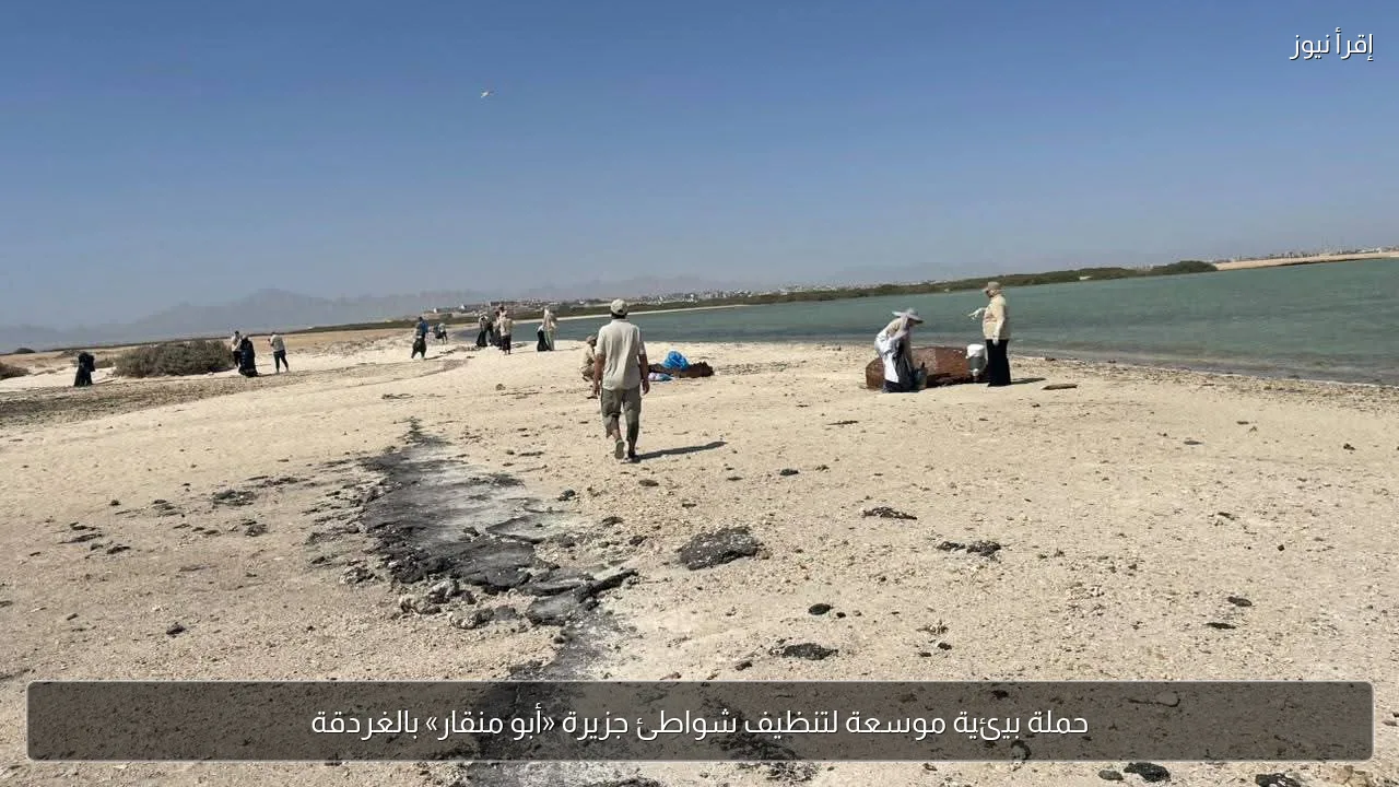 حملة بيئية موسعة لتنظيف شواطئ جزيرة «أبو منقار» بالغردقة