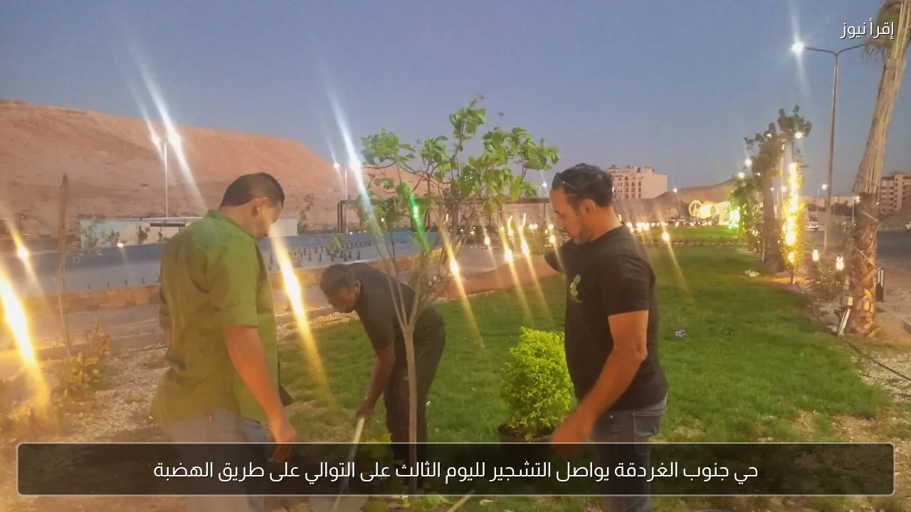 حي جنوب الغردقة يواصل التشجير لليوم الثالث على التوالي على طريق الهضبة