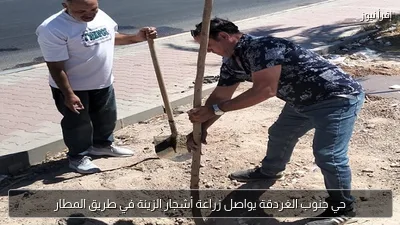 حي جنوب الغردقة يواصل زراعة أشجار الزينة في طريق المطار