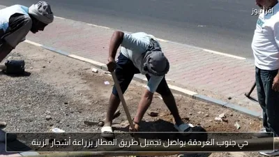 حي جنوب الغردقة يواصل تجميل طريق المطار بزراعة أشجار الزينة