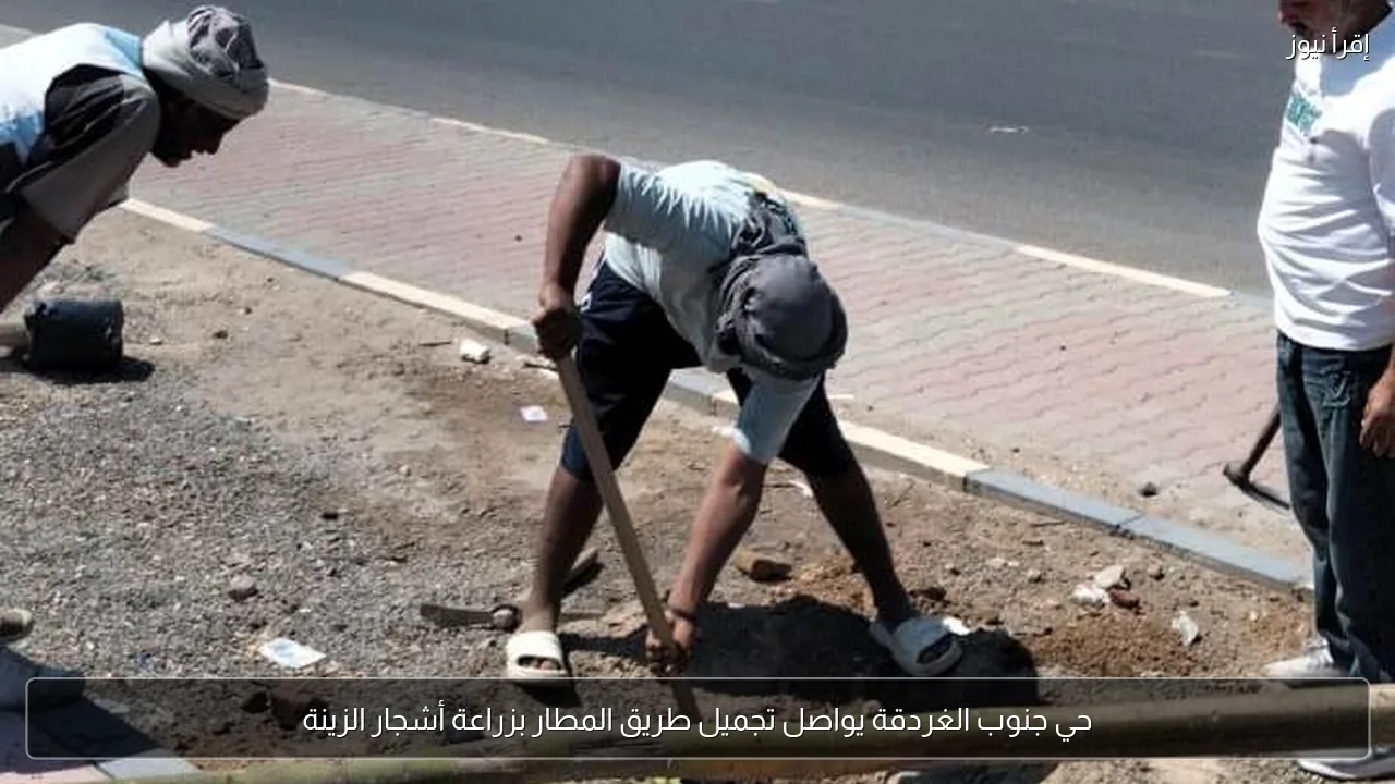 حي جنوب الغردقة يواصل تجميل طريق المطار بزراعة أشجار الزينة