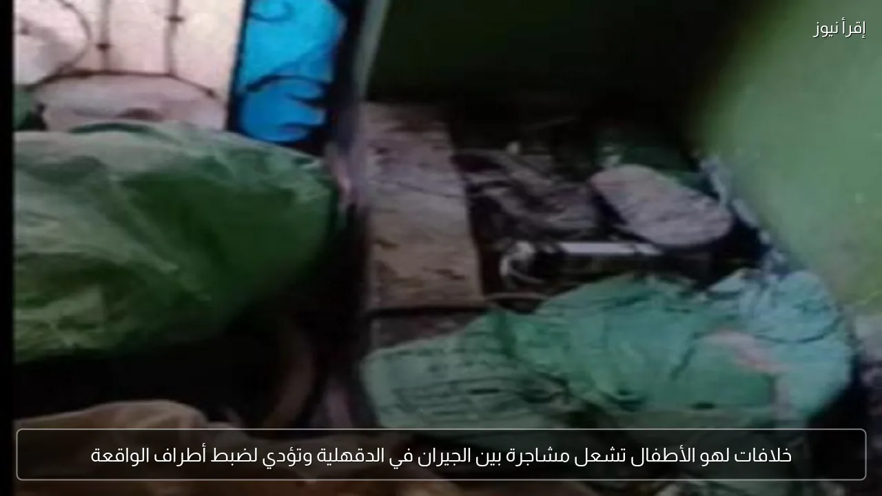 خلافات لهو الأطفال تشعل مشاجرة بين الجيران في الدقهلية وتؤدي لضبط أطراف الواقعة