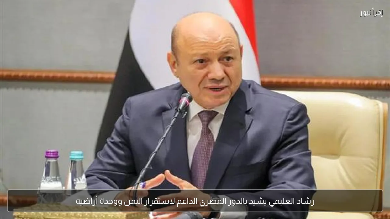 رشاد العليمي يشيد بالدور المصري الداعم لاستقرار اليمن ووحدة أراضيه