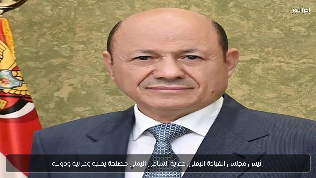 رئيس مجلس القيادة اليمني: حماية الساحل اليمني مصلحة يمنية وعربية ودولية
